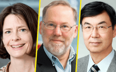 Prix Nobel de Médecine 2025